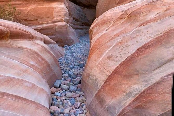 Valley of Fire/ Mojave Desert VIP Small Group Tour From Las Vegas - Small-group transport and your day’s flow