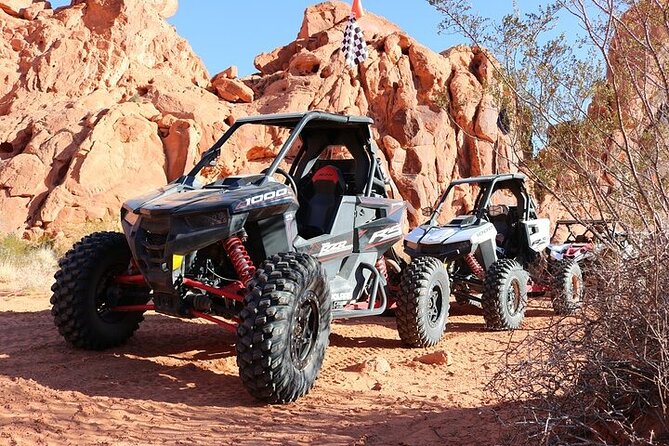 Valley of Fire Single Seater UTV Tour - Logandale Trail System Run: Where the Fun Starts