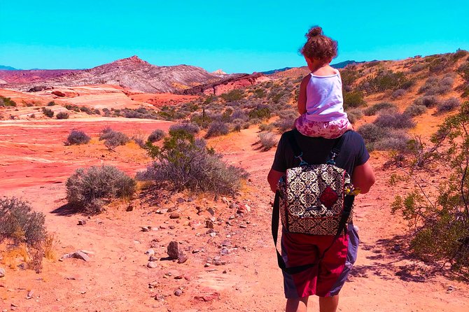 Valley of Fire State Park Day Tour from Las Vegas - Group size and pace: what 24 people feels like