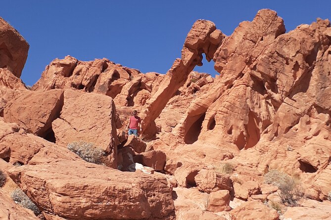 Valley of Fire State Park Tour w/Private Option (2-6 people) - Rainbow Vista and White Domes Road: free viewpoints with short walk potential