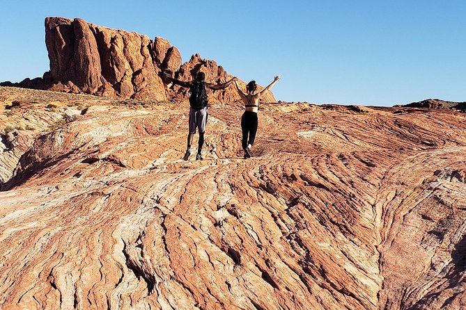 Valley of Fire Tour - Photo stops and wildlife: the fun surprises