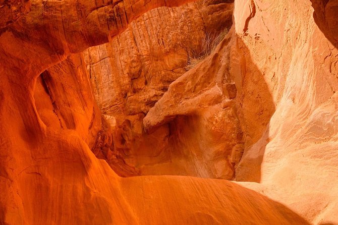 Valley of Fire Tour - Hot-weather reality: why timing and expectations matter