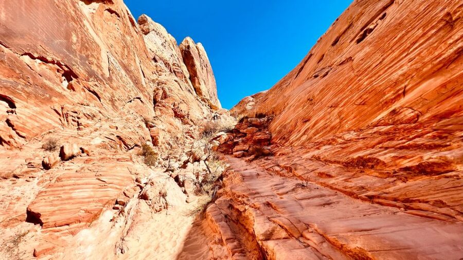 Valley of Fire VIP Small Group Tour From Las Vegas - Who should book this Valley of Fire VIP tour, and who should skip