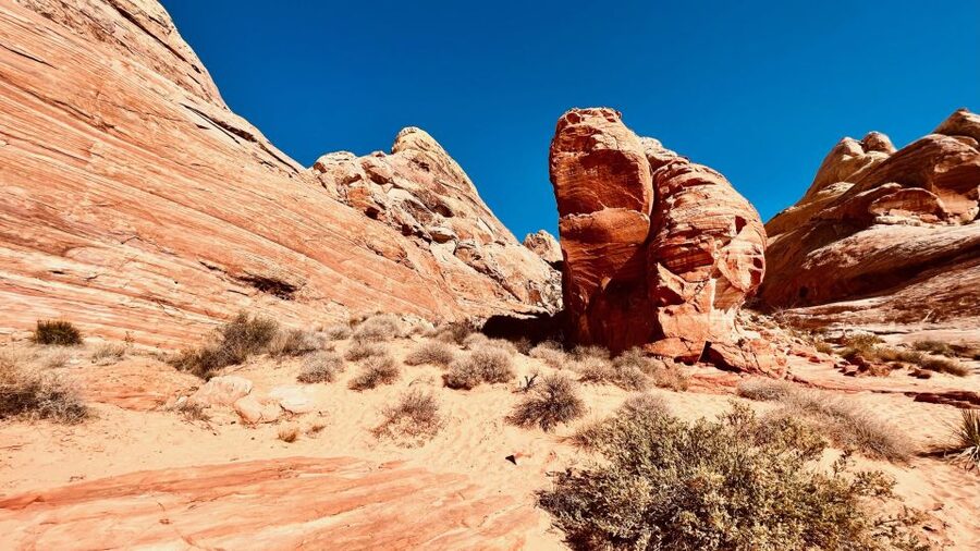 Valley of Fire VIP Small Group Tour From Las Vegas - Price and value: is $100 a good deal for this route?