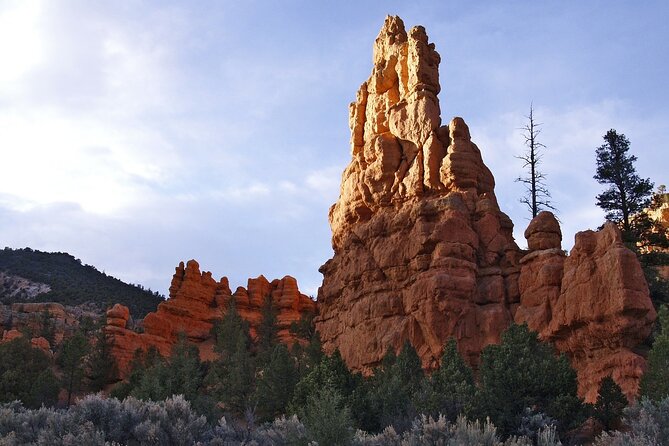 Zion and Bryce Canyon National Park Small Group Tour - Food, Water, and the Best Way to Handle Lunch Not Included