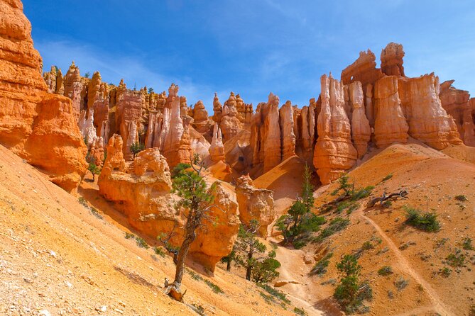Zion & Bryce Canyon National Parks Day Tour from Las Vegas - The 4:50 am Las Vegas Start, Pickup Details, and Where You End Up