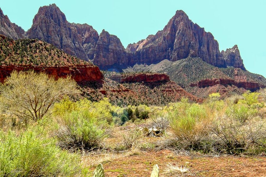 Zion National Park Small Group Adventure from Las Vegas - Price and value: what $293 buys you for a long day