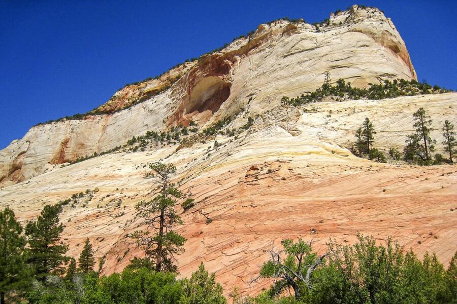 Zion National Park Small Group Adventure from Las Vegas - Zion Canyon as the main event: why this focus works