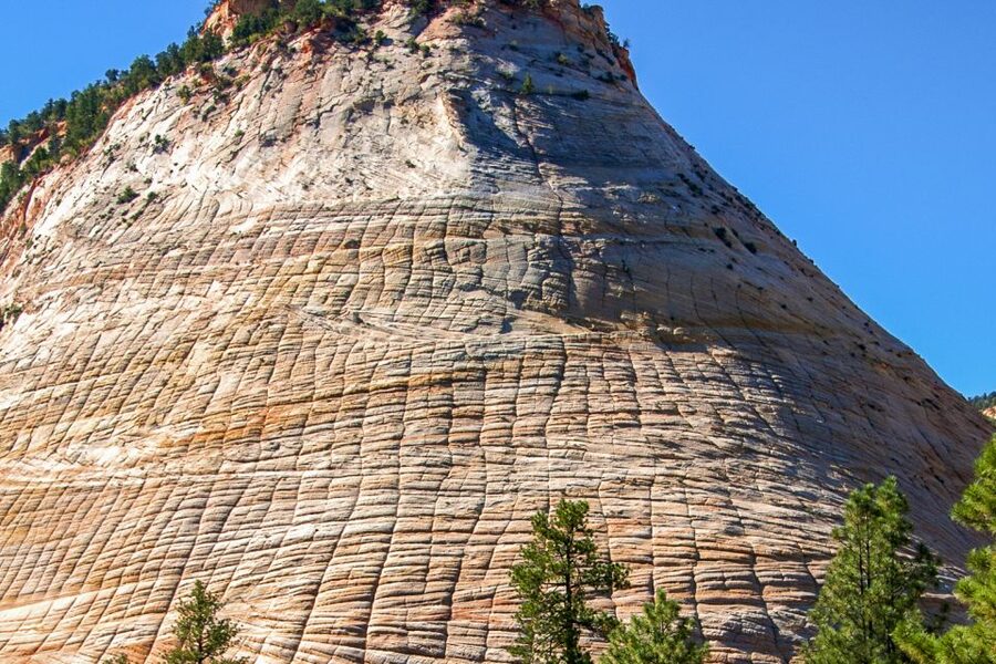 Zion National Park Small Group Adventure from Las Vegas - Photo stops and viewpoints: making time work for your camera