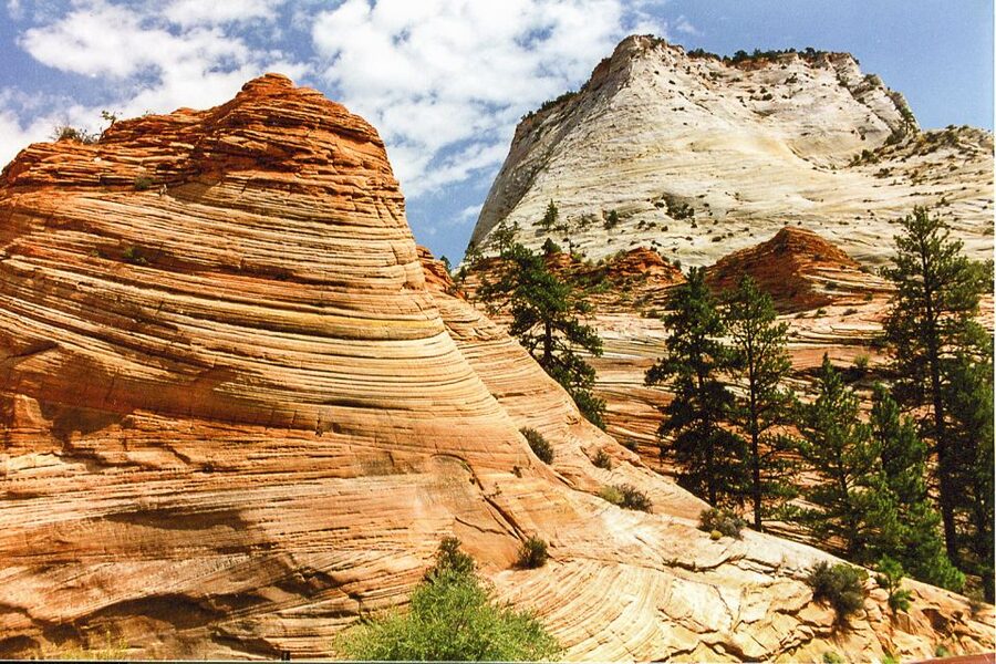Zion National Park Small Group Adventure from Las Vegas - Meals, snacks, and the real rhythm of the day