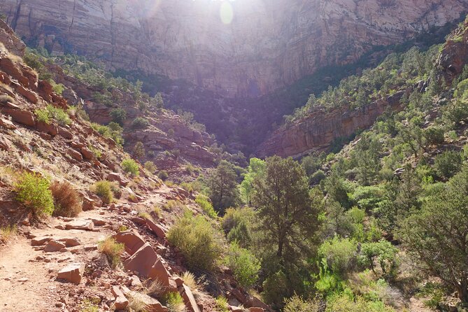Zion National Park Small Group Tour from Las Vegas - Zion in One Day From Las Vegas, Without the Car Headaches