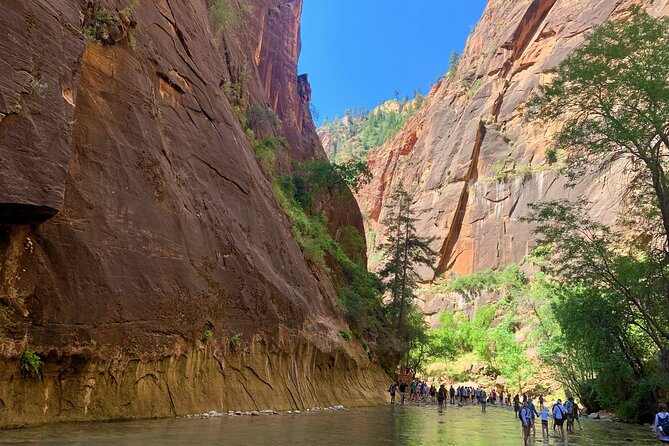 Zion National Park Small Group Tour from Las Vegas - The Zion Shuttle Hop-On Hop-Off Phase That Keeps Your Day Flexible