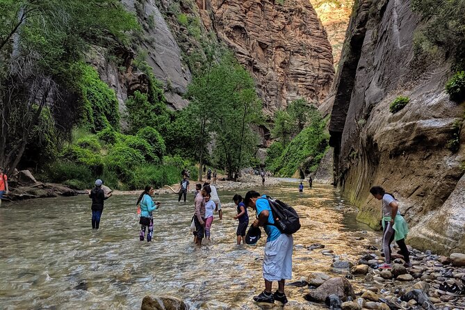 Zion National Park Small Group Tour from Las Vegas - The Small-Group Ride: Up to 12, Pickup, and Why It Matters